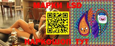 стаф Кинель