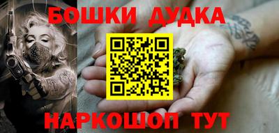 спиды Кингисепп