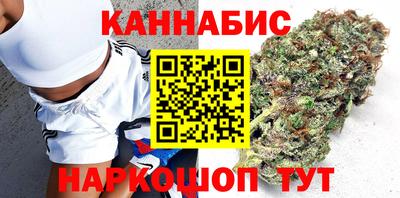 стаф Кинель
