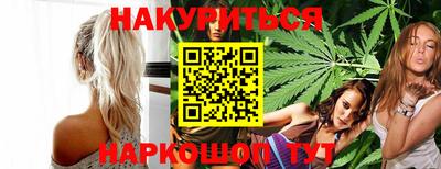 спиды Кингисепп
