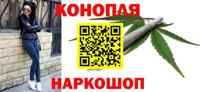 спиды Кингисепп