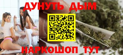спиды Кингисепп