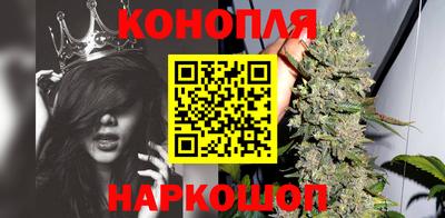 спиды Кингисепп