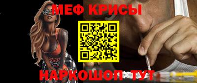 спиды Кингисепп